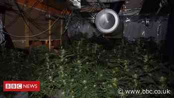 Cannabis worth £1m found in Blackpool Central Club
