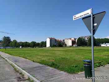 Prato di Parella, il comitato per salvarlo non ci sta: “Non è ancora finita, continueremo a raccogliere firme” - TorinOggi.it