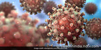 Coronavirus Explained: What Are COVID Variants And Variants Of Concern? - Swachh India NDTV