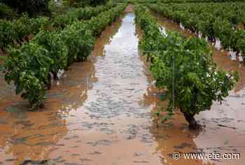 Las tormentas cortan en La Rioja carreteras y el tramo ferroviario entre Logroño-Fuenmayor - Agencia EFE