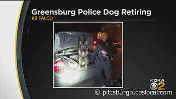 Greensburg Police K-9 ‘Falco’ To Retire