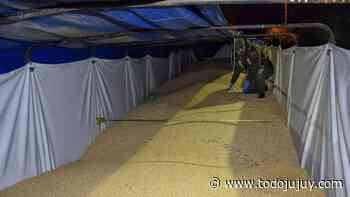 Salta: Gendarmería secuestró 210 toneladas de soja - todojujuy.com