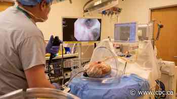 Canada's largest transplant centre slowly marches toward normal after weeks of 'wasted' organs