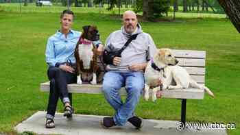 Police smash couple's living room window with armoured vehicle in drug raid that finds nothing