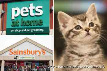 Cat food sold at Sainsbury's and Pets At Home linked to deadly illness