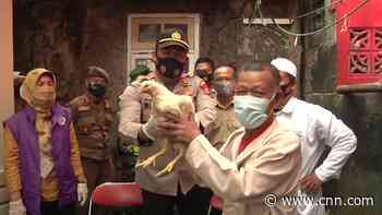 Indonesian town giving away free chickens for vaccine