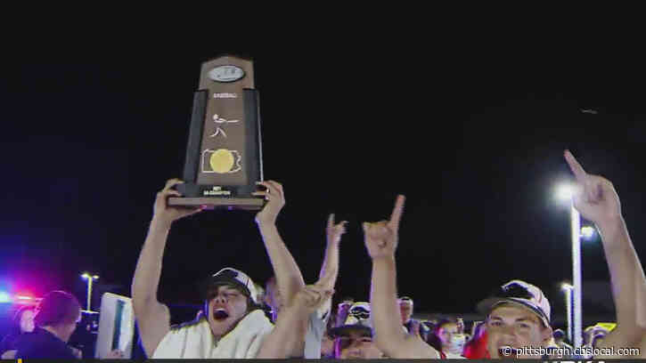 Bethel Park Baseball Team Wins 5-A State Championship