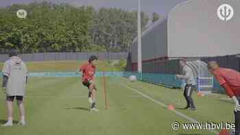 Eddy Pepels uit Bocholt is verzorger bij de Rode Duivels: "Iedereen is fit, Witsel en De Bruyne klaar om te spelen" - Het Belang van Limburg