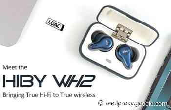 HiBy WH2 True wireless earphones with LDAC