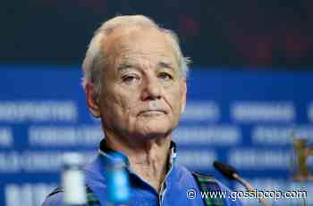 Bill Murray Brothers: The Truth About The Actor’s Massive Family - Gossip Cop