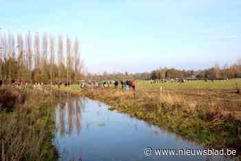Edegemse Beekvallei veilig stellen voor de toekomst