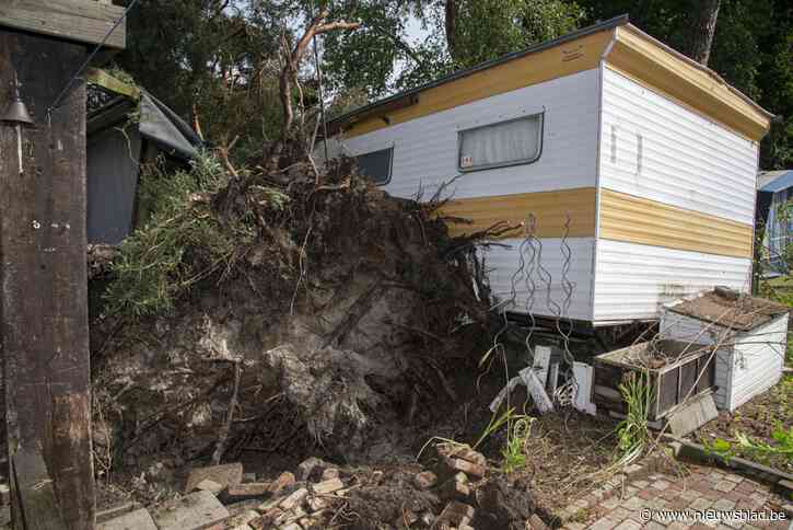 Windhoos veroorzaakt ravage op camping: “Kampeerders net uit hun tentje geraakt voor boom afknakte”