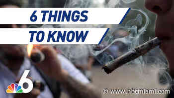 6 Things to Know: Florida Court Says No to Recreational Marijuana Ballot Proposal