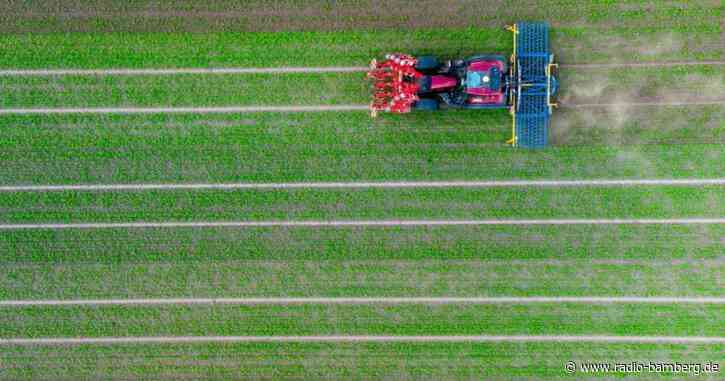 Bayern hat die meisten Biobauern