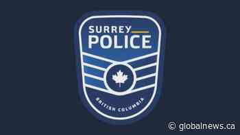Petition calls for referendum on Surrey policing change
