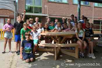 Gekapte ceders krijgen tweede leven als bank