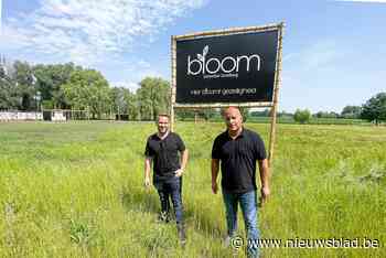 Met Bloom heeft Aalst straks vierde zomerbar: “Je kan hier tot rust komen met zicht op de velden”