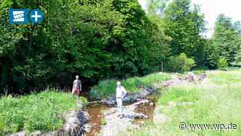 Marsberg: Wie die Renaturierung der Diemel möglich wird - Westfalenpost
