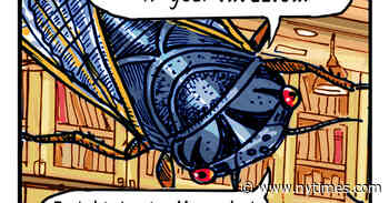 The Literary Life of Cicadas