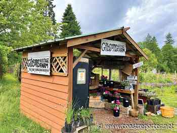 The Gibsons Farm is in Elphinstone - Coast Reporter