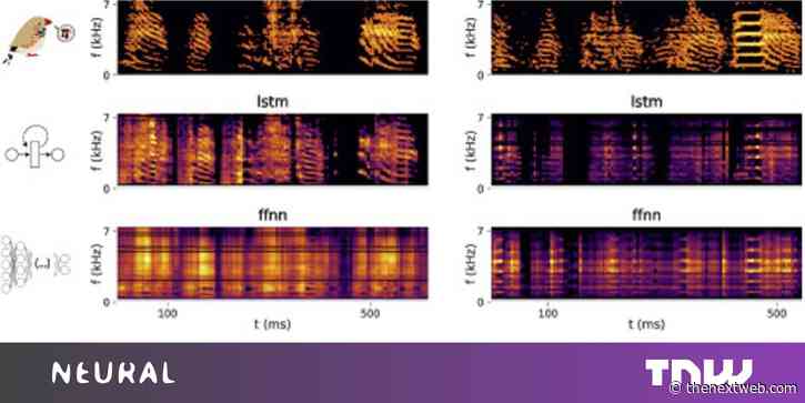 Researchers created a brain interface that can sing what a bird’s thinking