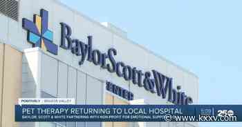 Pet therapy is returning to Baylor Scott & White this summer - KXXV News Channel 25