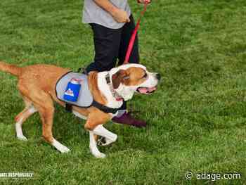 Insurance, beer gear and Father’s Day fallout: Trending 