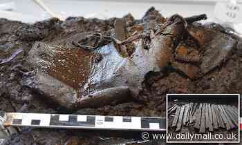 2,000-year-old leather shoe is discovered in Northern Germany after it disappeared into a bog 