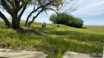 Sask. commits $2M for searches of residential school sites for unmarked graves