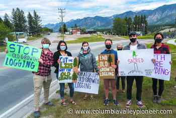 ColumbiYA organized a rally to protest ongoing logging of old growth forest in BC - Columbia Valley Pioneer