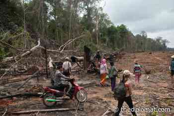 USAID Cuts Support to Flagship Forest Protection Project in Cambodia - The Diplomat
