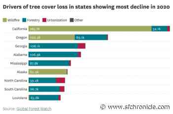 These counties in California have been hit hardest by wildfires - San Francisco Chronicle