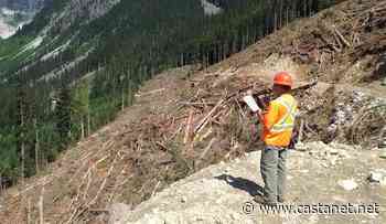 BC Forest Practices Board to audit operations in Selkirk and Okanagan-Shuswap - Salmon Arm News - Castanet.net