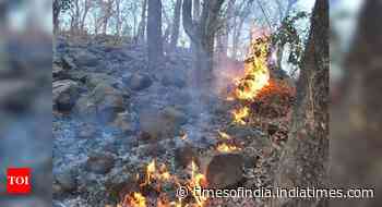 16% of country’s forest fire alerts in Maharashtra alone - Times of India