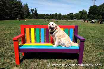 Pride Bench Added To Ferguson Forest Centre Dog Park - mykemptvillenow.com
