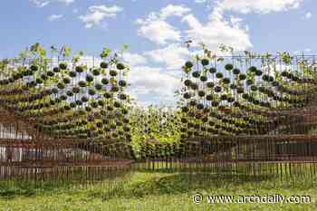 Kokedama Forest Installation / Nomad Studio - ArchDaily
