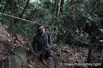 Never too late to save Earth: Q&A with Leuser forest guardian Rudi Putra - Mongabay.com