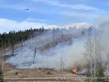 New TRU Faculty Member studying forest fire ecology and post fire growth - mycariboonow.com
