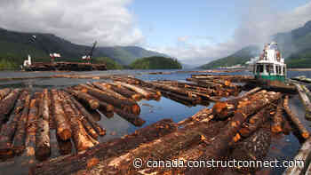 BC announces changes to help struggling forest-sector contractors - constructconnect.com - Daily Commercial News