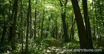 Natural area in Orono gets final pieces of land donated by Dayton family
