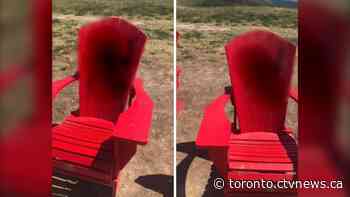 Trudeau 'appalled and disgusted' at anti-Semitic graffiti found in North York park
