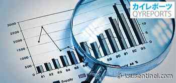 Social Work Case Management Software Market Demand, Growth, 360-Degree Market Research Report with Key Players like Simon Solutions, Sumac, Athena Software, Notehouse, CaseWorthy – KSU | The Sentinel Newspaper - KSU | The Sentinel Newspaper