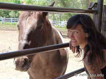 Social work professor explores animals' abilities to help those dealing with grief - ASU Now