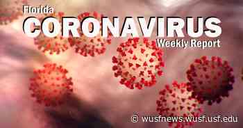 Florida Coronavirus Cases, Positivity Rate And More For June 18 - WUSF News
