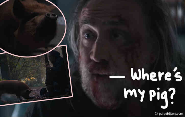 Nicolas Cage Searches For His Kidnapped Truffle Pig In Bizarre New Trailer!