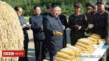 North Korea: Why doesn't it have enough food this year? - BBC News
