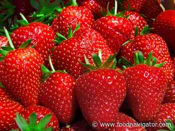 Fighting on-farm food waste through flexible procurement: Tesco's response to a bumper strawberry harvest - FoodNavigator.com
