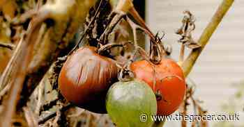 A circular economy for food is fundamental for people and planet - The Grocer