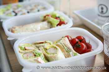 Northumberland's free school meal replacement system avoided food parcel problems seen elsewhere, committee hears - Northumberland Gazette