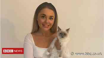 Owner fears kitten death linked to food - BBC News